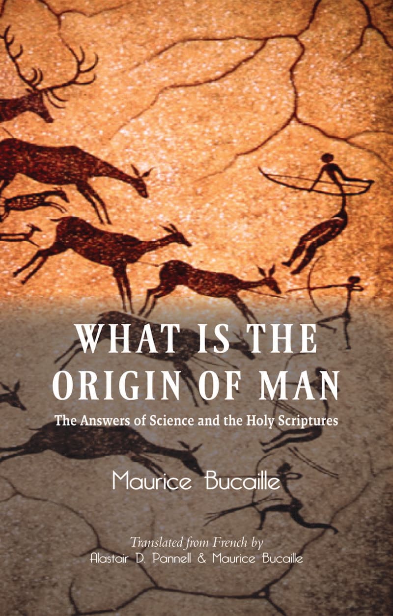 What Is the Origin Man