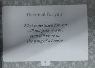 Destiny - Image 3