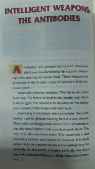 The Miracle of the Immune System - Image 3