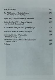 The The Thieves of Riyadh - Image 4