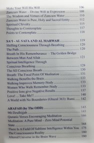 The Secret of Hajj - Image 4
