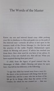 Advice to A Son: Imam Zayn-ud-Din Abu Hamid Bin Muhammad Al-Ghazali's - Ayyuhal Walad - Bilingual Edition - Image 5
