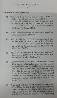 Modern Day Hadith Guidance - Image 6