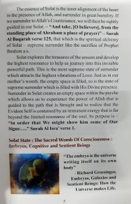 The Secret of Solat - Image 6