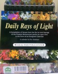 Daily Rays of Light