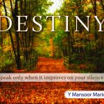 Destiny: Speak only when it improves on your silence