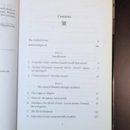 Destruction or Peace - Image 3