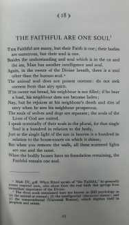 Rumi: Mystic and Poet - Image 5