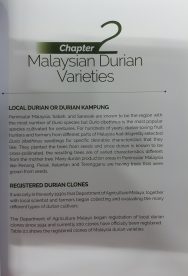 Managing Durian Orchards in Malaysia - Image 5