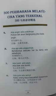 300 Peribahasa Melayu-Cina Yang Terkenal - Image 3