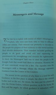 Living Miracle - Image 6