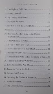 The Maverick Dervish: Mystic Melodies of a Radical Romantic - Image 3